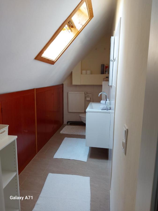 Ferienhaus Kaethe 克拉根福 外观 照片